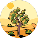 Siddhesh Nisal profile picture